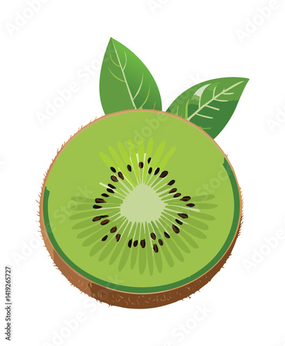 Slice of Kiwi Fruit with Leaves - Vector Illustration
