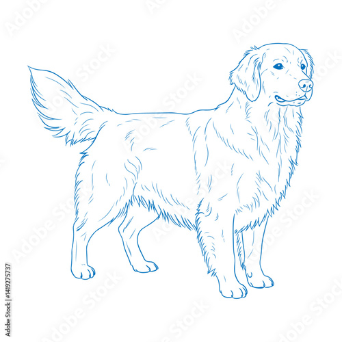 Modern Minimal Golden Retriever Art: Clean Line Dog