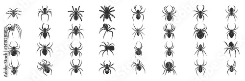 Spider Silhouettes Collection. Diverse Arachnid Species Illustrations For Education And Design. Isolated Vector Illustration Collection