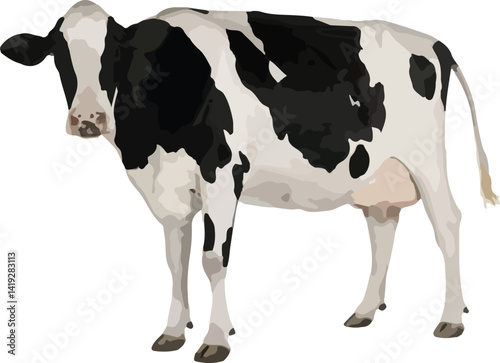 black and white Holstein Friesian cow standing against a plain white background