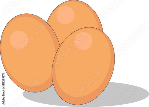 Vector illustration. Chicken eggs. Eggs isolated on white background.