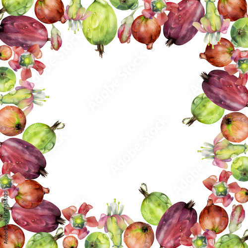 Gooseberry garden Currant berries, flowers in water dew drops hand drawn in watercolor. Isolated square border frame illustration. Home preserves, recipe book, cafe menu, stationery, food store decor