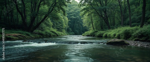 Calm creek flowing through a lush forest wide angle panoramic view horizontal symmetric background