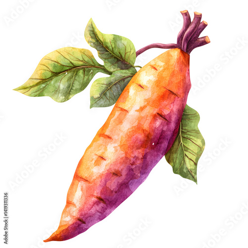 Sweet potato Isolated White Background