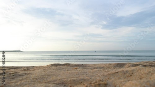 Dog Walking on Sandy Beach Serene Moment by Calm Sea and Natures Tranquility