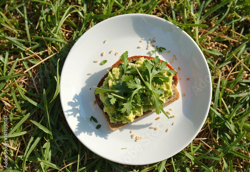 Avocado Toast in Outdoor Picnic