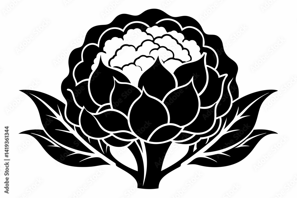 Obraz premium cauliflower plant silhouette line art vector illustration
