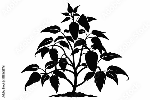 chili plant silhouette line art vector illustration
