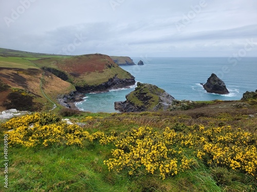 View of the coast near Boscastle