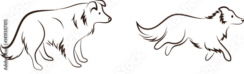 Two shetland sheepdogs in outline style standing and running breed silhouette
