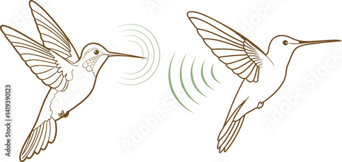 Hummingbirds flying line art with sound waves minimalistic nature illustration