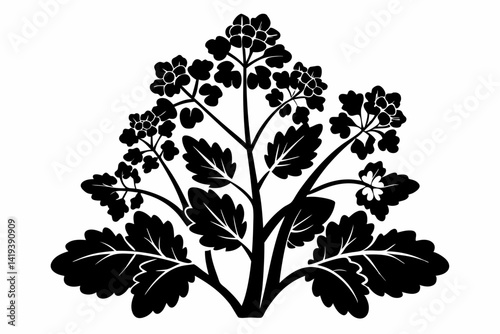mustard plant silhouette line art vector illustration