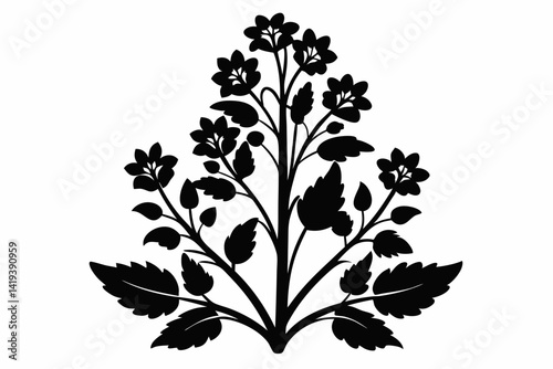 mustard plant silhouette line art vector illustration