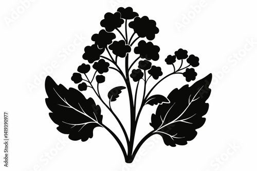 mustard plant silhouette line art vector illustration