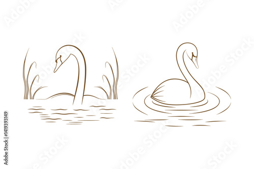 Graceful swan line art floating on water with reeds vector illustration
