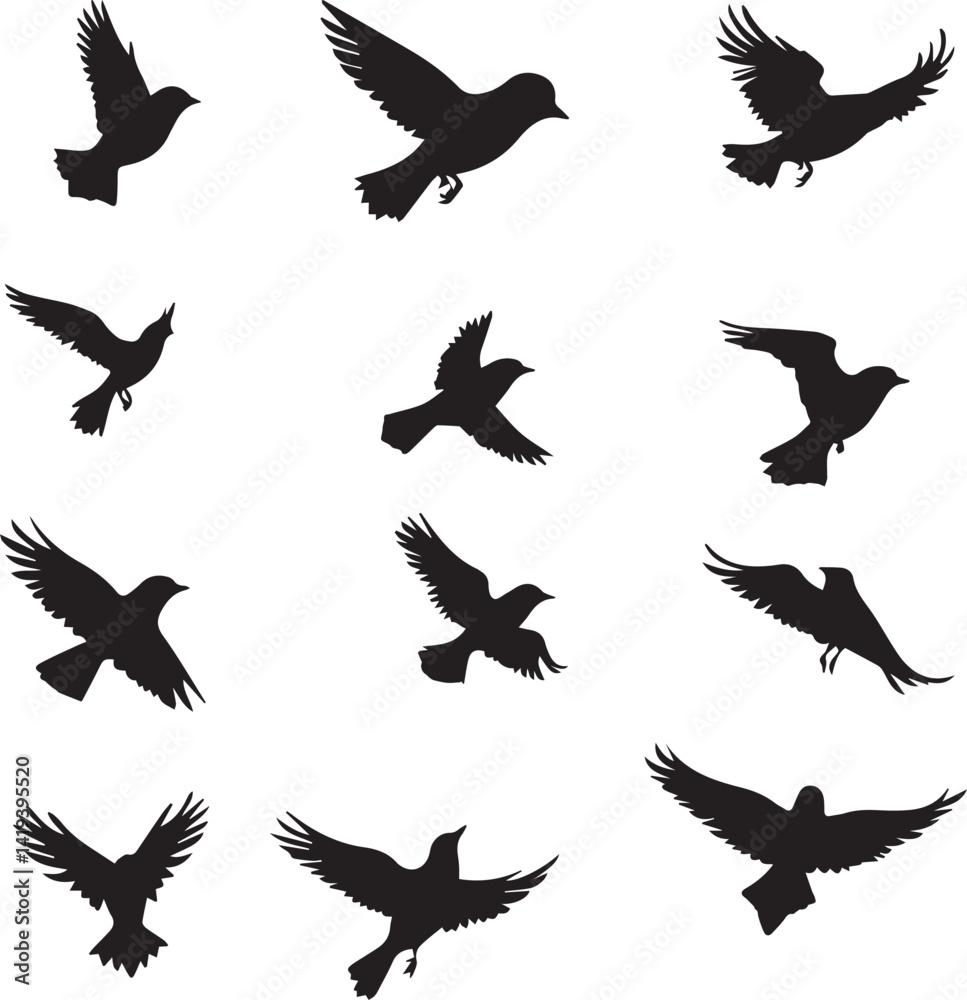 Obraz premium vector silhouettes of birds