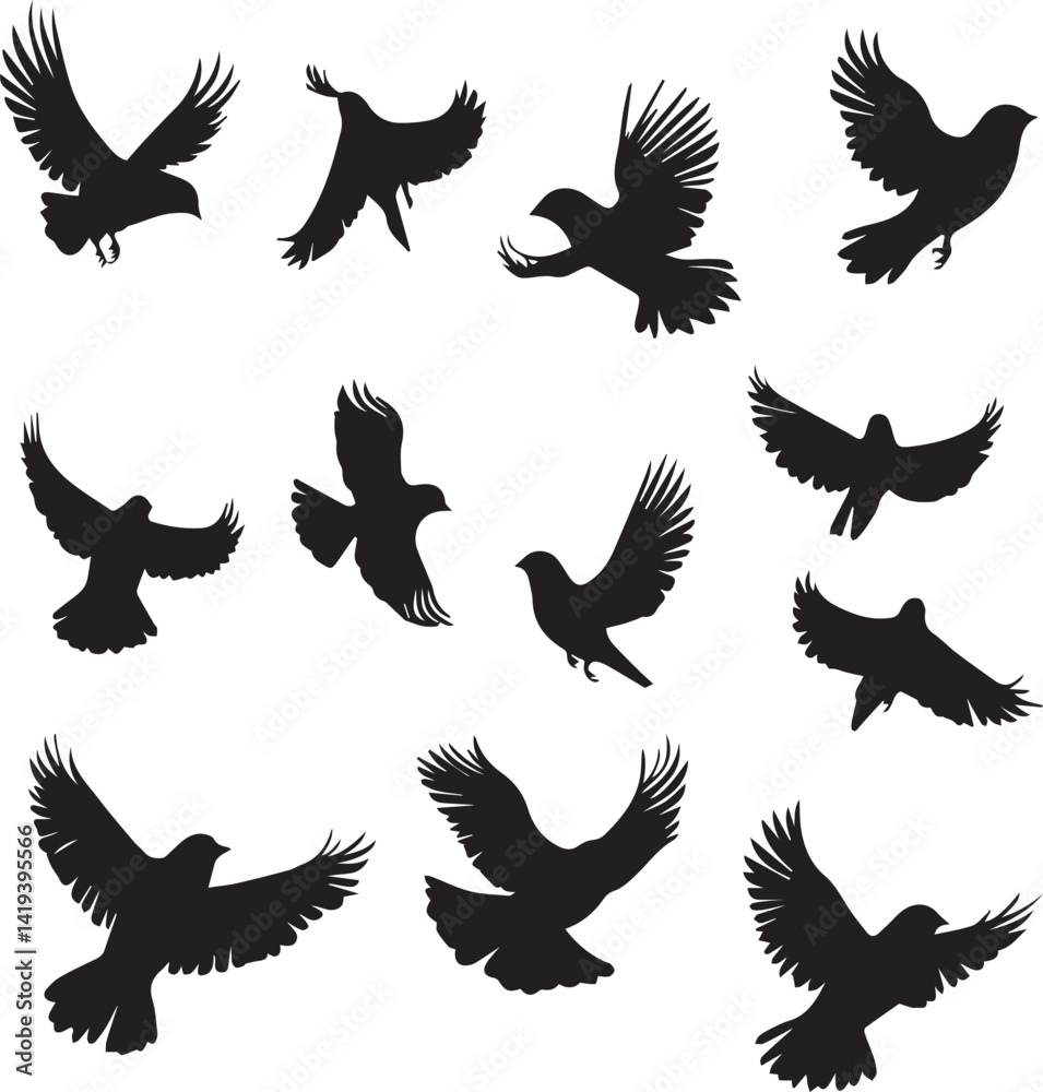 Obraz premium set of vector birds