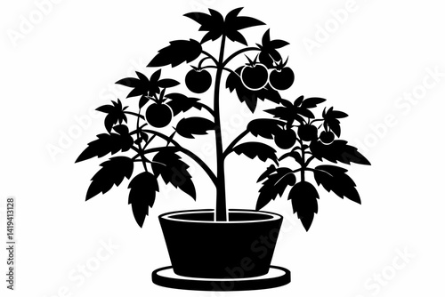 tomato plant silhouette line art vector illustration