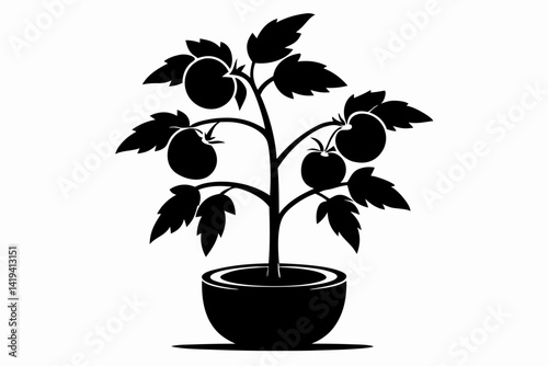 tomato plant silhouette line art vector illustration