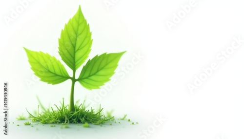 Obraz na płótnie Isolated vibrant green sapling against pure white, vegetation, environment, nature w salonie