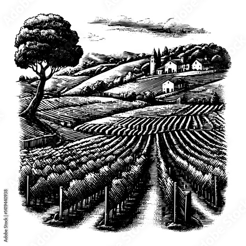 Woodcut vineyard landscape in black and white for wine label, vintage