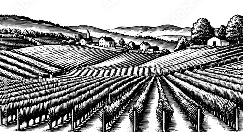 Woodcut vineyard landscape with farmhouse in black and white for wine production