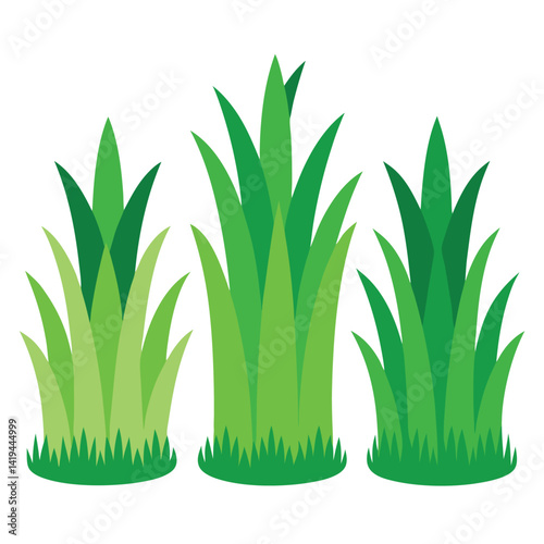 Three Green Grass Clumps on a Clean White Background Design