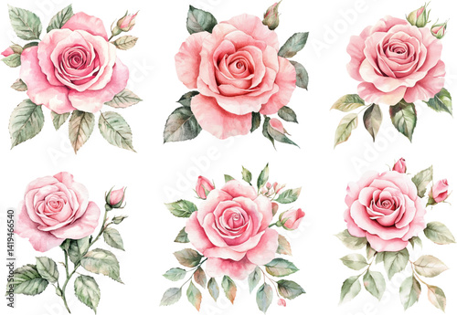 seamless pattern of roses