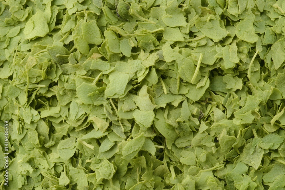 Dried Green Leaf Crumbles Texture Background Image Dried Green Leaf Crumbles Texture Background Image