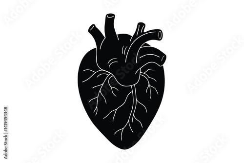 Anatomical heart silhouette vector illustration