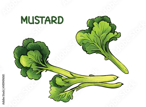 vegetables isolated on white background