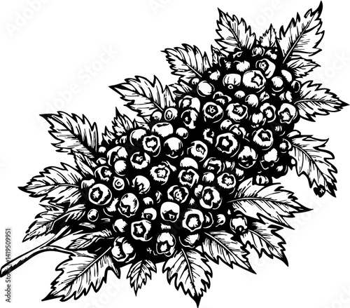 Celebrating canada day with festive berries canada artwork outdoor close-up cultural significance