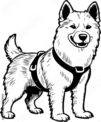 Celebrating canada day with beloved pets parks illustration outdoor joyful spirit