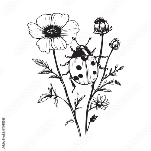 Ladybug On Flower Images Vector Isolated on white Background.