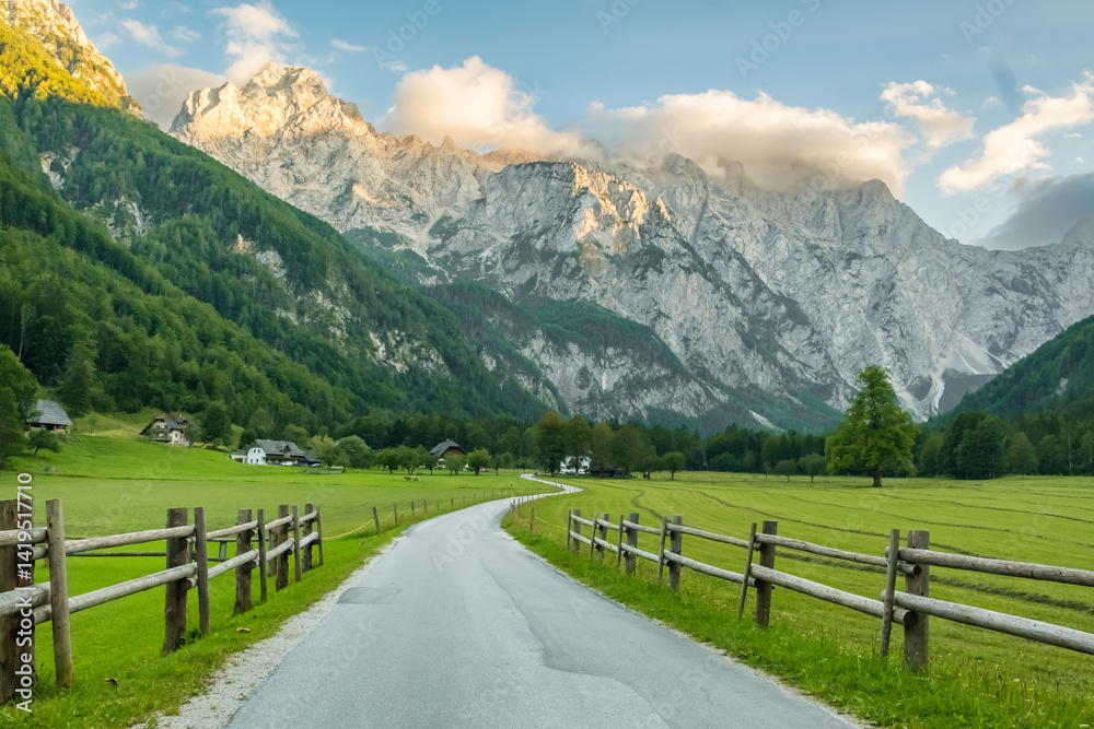 Idyllic scene with a rural road in the Alpine landscape, Logar Valley, Slovenia