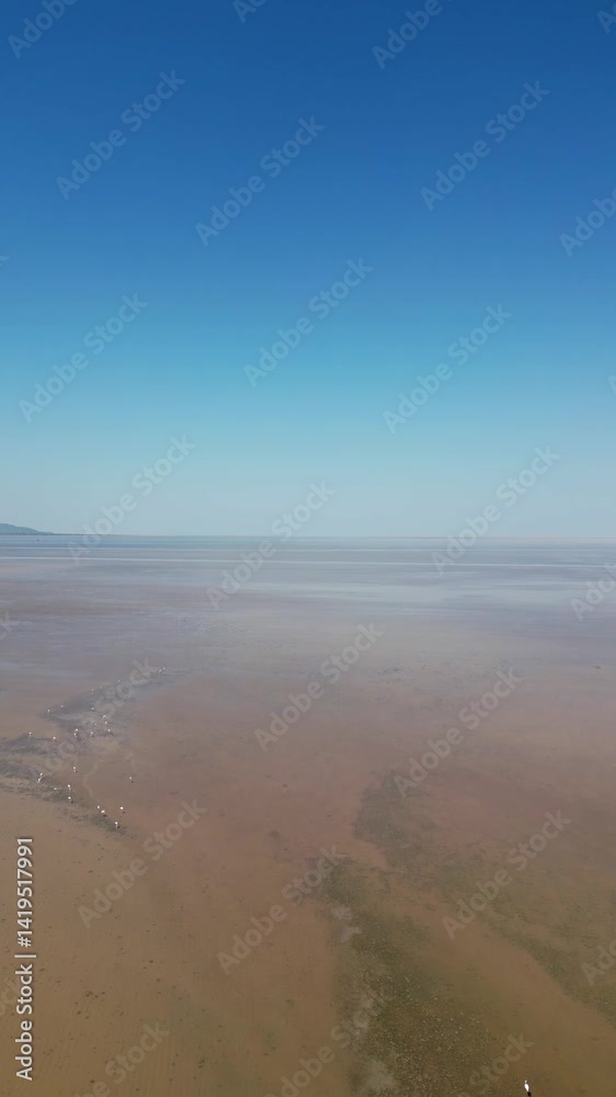 A stunning aerial top view of Dholavira Beach Kutch Gujarat India with serene waters, golden sand and flocks of flamingos at the shore under a clear sky on a sunny day A stunning aerial top view of Dholavira Beach Kutch Gujarat India with serene waters, golden sand and flocks of flamingos at the shore under a clear sky on a sunny day