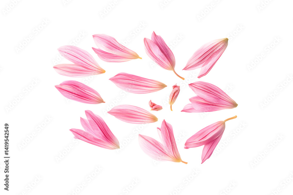Naklejka premium Pink flower petals blowing in the air with flowing pink smoke on a transparent background