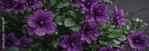 Intense purple petals, lush green leaves, close-up botanical detail , purple plant, wildflower, violet