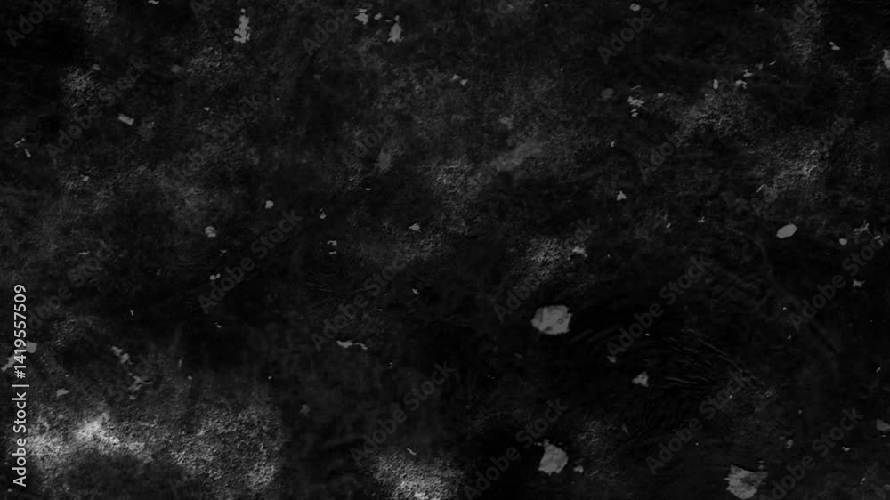 Abstract Monochrome Texture Dust Particles Noise Background Overlay Abstract Monochrome Texture Dust Particles Noise Background Overlay