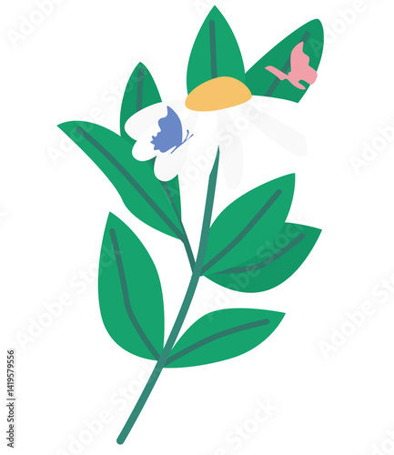 flowers and butterflies