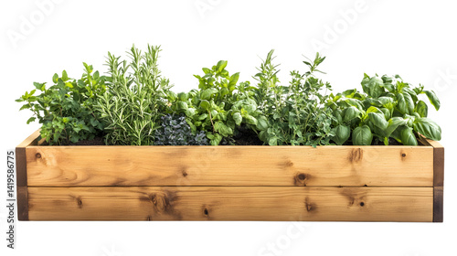 Organic Wooden Raised Garden Bed with Various Herbs for Outdoor Gardening Inspiration