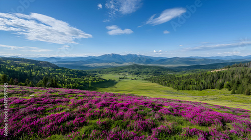 Vast Valley View Overlook With Blooming Purple Flowers
