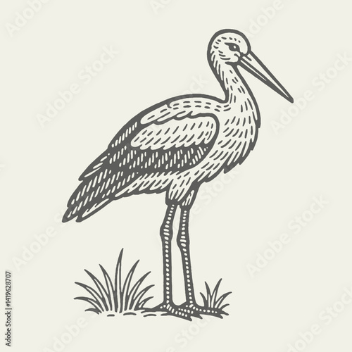 White Stork. Vintage woodcut engraving linocut style vector illustration.