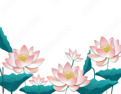 Lotus flowers blooming gracefully in serene waters under soft sunlight creating a peaceful scene that reflects the timeless beauty of nature and spiritual calm, lotus flowers