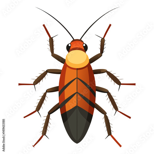cockroach isolated on white background