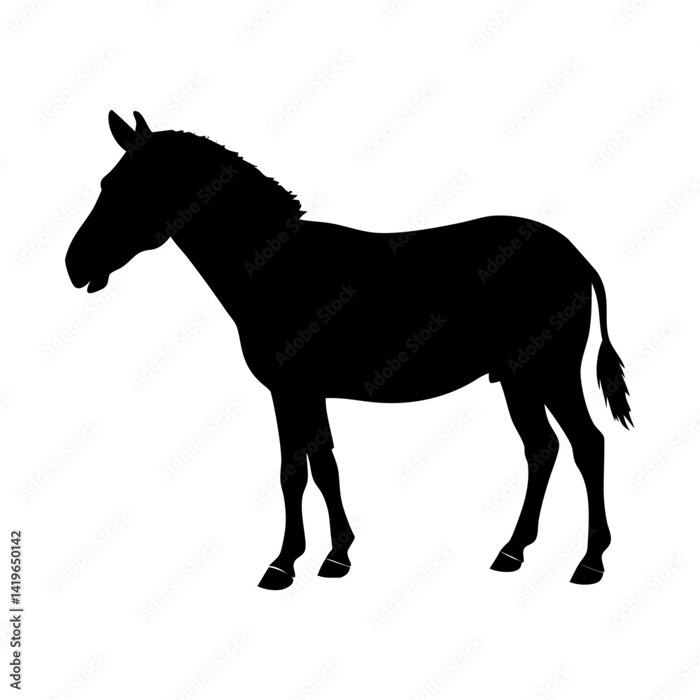 Obraz premium Isolated zebra vector illustration standing animal silhouette black and white art design graphic image