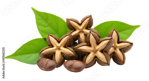 Wallpaper Mural A cluster of star-shaped seeds surrounded by vibrant green leaves, showcasing natural beauty and potential for culinary use Torontodigital.ca