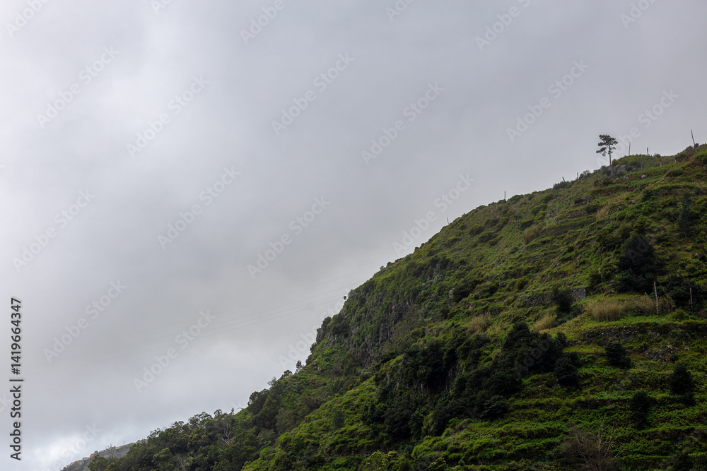 In the Embrace of Fog – Madeira’s Mountains at Dawn In the Embrace of Fog – Madeira’s Mountains at Dawn