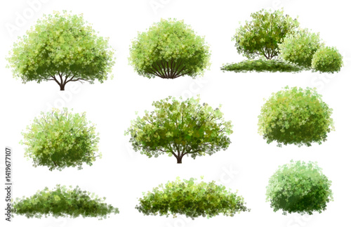 Vector of green tree side view isolated on white background ,watercolor tree elevation for landscape concept,environment scene,eco design, garden for spring