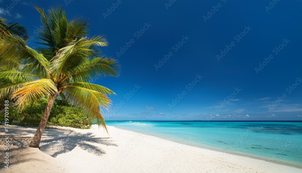 Obraz premium Beautiful beach with palm trees and clearly blue sky